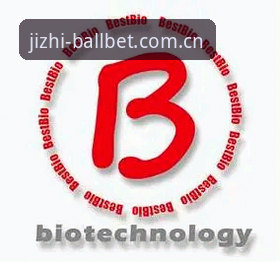 B3X8互动 贝博体育官网 vs B3X8互动:哪种新手娱乐体验更适合你?全面对比分析